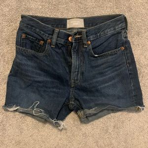 Everlane Denim Shorts Size 24